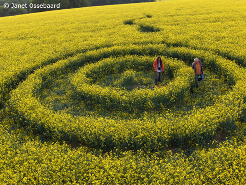 Westwoods, Wiltshire crop circle, aerial photo 17