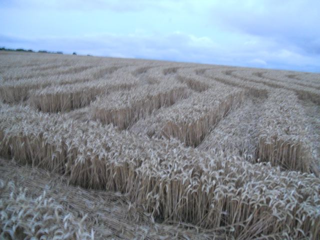 Whitefield Hill, Wiltshire crop circle, aerial photo 83