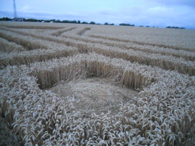 Whitefield Hill, Wiltshire crop circle, aerial photo 84