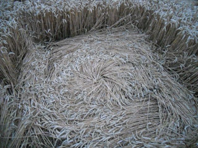 Whitefield Hill, Wiltshire crop circle, aerial photo 86