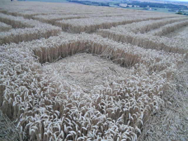 Whitefield Hill, Wiltshire crop circle, aerial photo 87