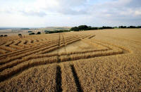 Whitefield Hill, Wiltshire crop circle, aerial photo 80
