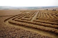 Whitefield Hill, Wiltshire crop circle, aerial photo 75
