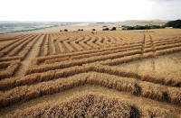 Whitefield Hill, Wiltshire crop circle, aerial photo 73