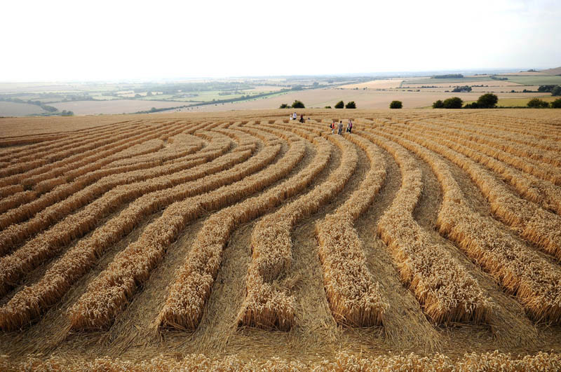Whitefield Hill, Wiltshire crop circle, aerial photo 71