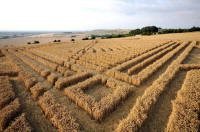 Whitefield Hill, Wiltshire crop circle, aerial photo 72