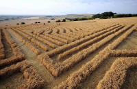 Whitefield Hill, Wiltshire crop circle, aerial photo 78