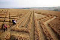 Whitefield Hill, Wiltshire crop circle, aerial photo 77
