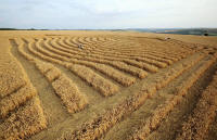 Whitefield Hill, Wiltshire crop circle, aerial photo 76