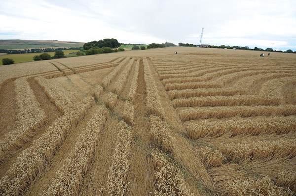 Whitefield Hill, Wiltshire crop circle, aerial photo 65