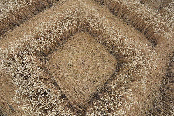 Whitefield Hill, Wiltshire crop circle, aerial photo 67