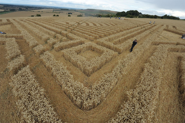 Whitefield Hill, Wiltshire crop circle, aerial photo 66
