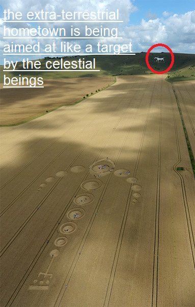 The White Horse, Wiltshire crop circle, aerial photo 14