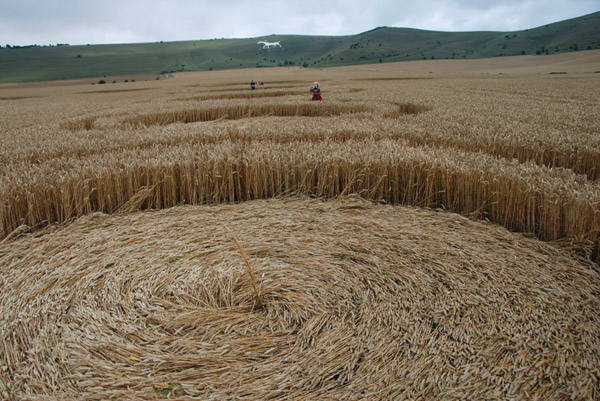 The White Horse, Wiltshire crop circle, ground photo 55