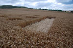 The White Horse, Wiltshire crop circle, ground photo 66