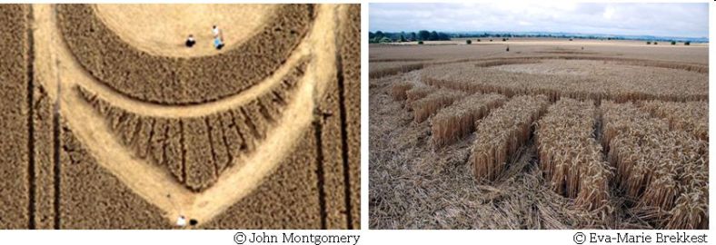 The White Horse, Wiltshire crop circle, aerial photo 34