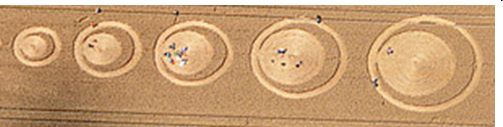 The White Horse, Wiltshire crop circle, aerial photo 35