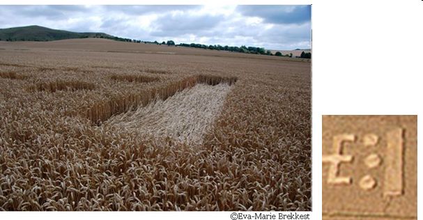 The White Horse, Wiltshire crop circle, aerial photo 39