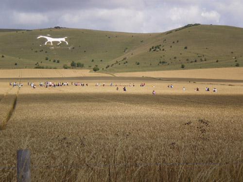 The White Horse, Wiltshire crop circle, aerial photo 72