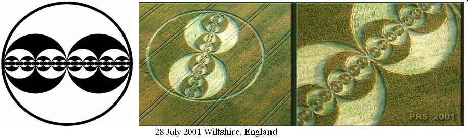 White Sleet Hill, Wiltshire crop circle, aerial photo 19