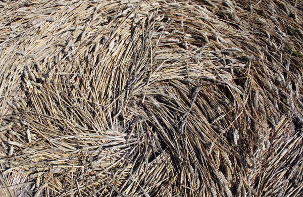 White Sleet Hill, Wiltshire crop circle, aerial photo 60
