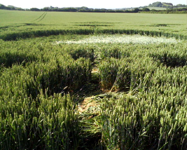 White Sleet Hill, Wiltshire crop circle, aerial photo 53