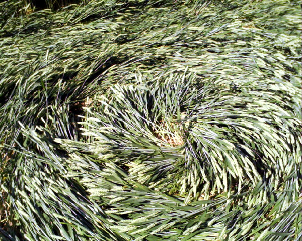 White Sleet Hill, Wiltshire crop circle, aerial photo 54