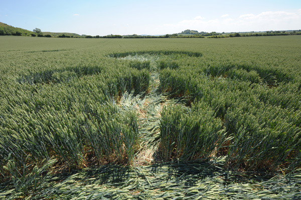 White Sleet Hill, Wiltshire crop circle, aerial photo 49
