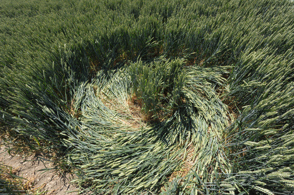 White Sleet Hill, Wiltshire crop circle, aerial photo 50