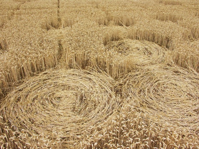 Wickham Green (North of M4), Berkshire crop circle, aerial photo 87