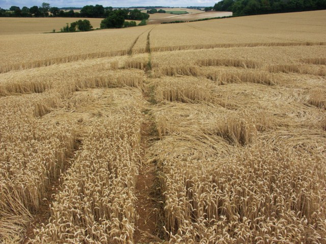 Wickham Green (North of M4), Berkshire crop circle, aerial photo 91