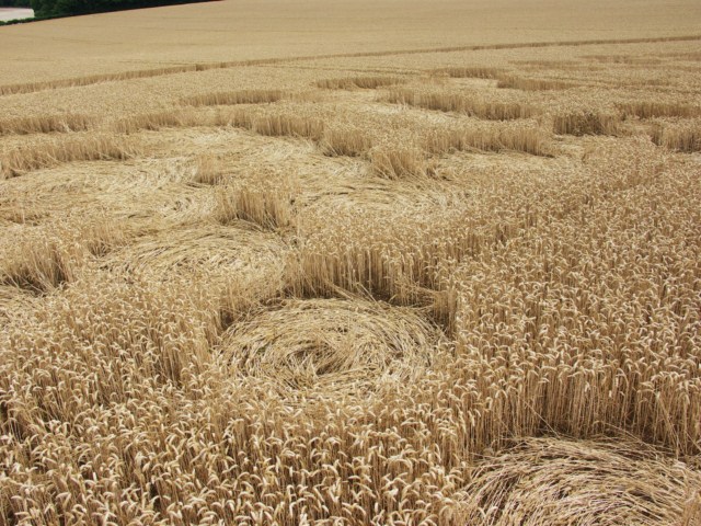 Wickham Green (North of M4), Berkshire crop circle, aerial photo 92