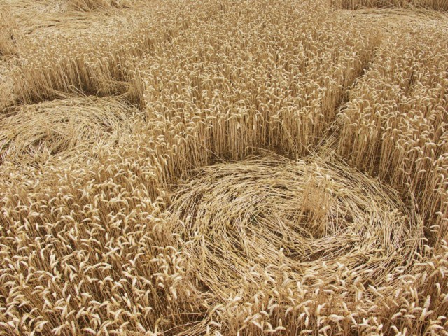 Wickham Green (North of M4), Berkshire crop circle, aerial photo 94