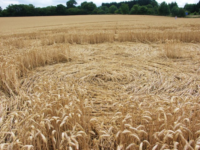 Wickham Green (North of M4), Berkshire crop circle, aerial photo 96