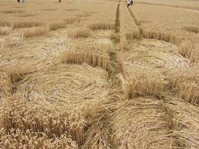 Wickham Green (North of M4), Berkshire crop circle, aerial photo 98
