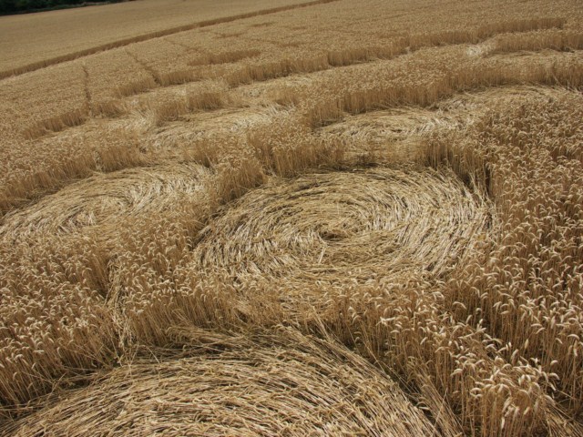 Wickham Green (North of M4), Berkshire crop circle, aerial photo 100