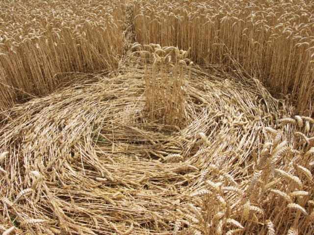 Wickham Green (North of M4), Berkshire crop circle, aerial photo 104