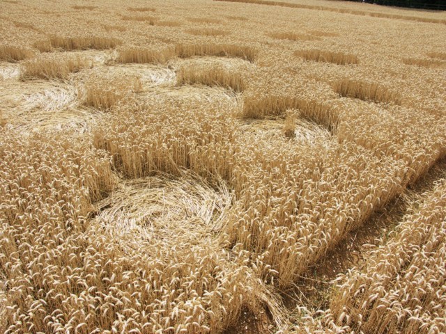 Wickham Green (North of M4), Berkshire crop circle, aerial photo 106