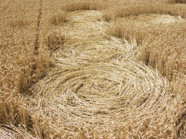 Wickham Green (North of M4), Berkshire crop circle, aerial photo 89