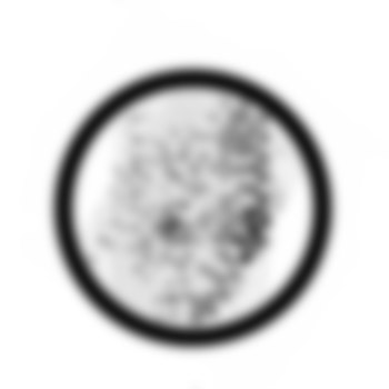 Wickham Green (North of M4), Berkshire crop circle, aerial photo 62