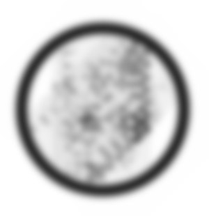 Wickham Green (North of M4), Berkshire crop circle, aerial photo 60