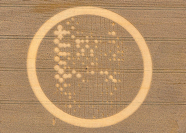 Wickham Green (North of M4), Berkshire crop circle, aerial photo 11