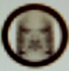 Wickham Green (North of M4), Berkshire crop circle, aerial photo 55