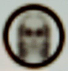 Wickham Green (North of M4), Berkshire crop circle, aerial photo 56