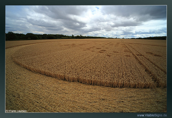 Wickham Green (North of M4), Berkshire crop circle, aerial photo 146