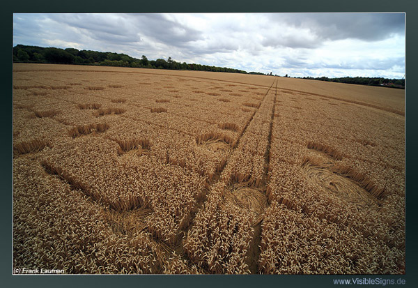 Wickham Green (North of M4), Berkshire crop circle, aerial photo 147