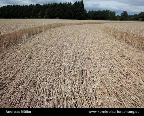 Wickham Green (North of M4), Berkshire crop circle, aerial photo 152