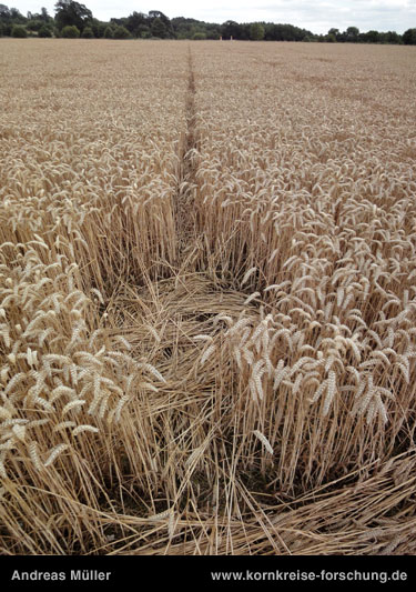 Wickham Green (North of M4), Berkshire crop circle, aerial photo 157