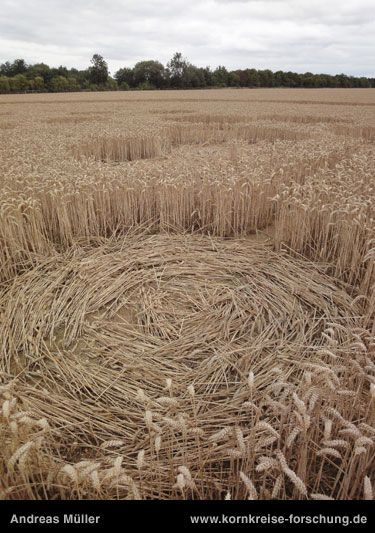 Wickham Green (North of M4), Berkshire crop circle, aerial photo 158