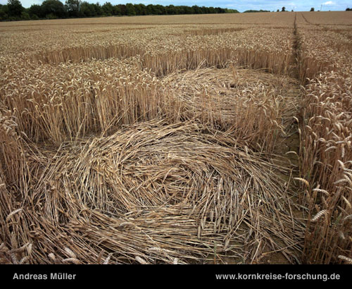 Wickham Green (North of M4), Berkshire crop circle, aerial photo 155
